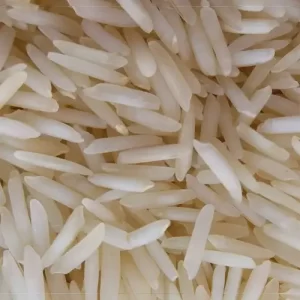 Basmati Rice